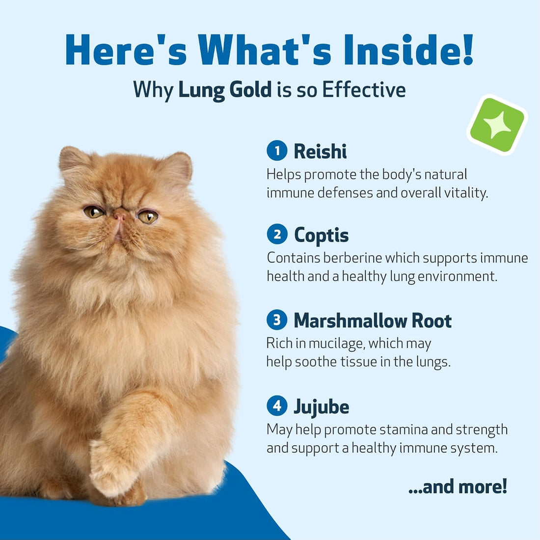 Pet Wellbeing Lung Gold for Cats - Lung & Respiratory Function, 2 oz