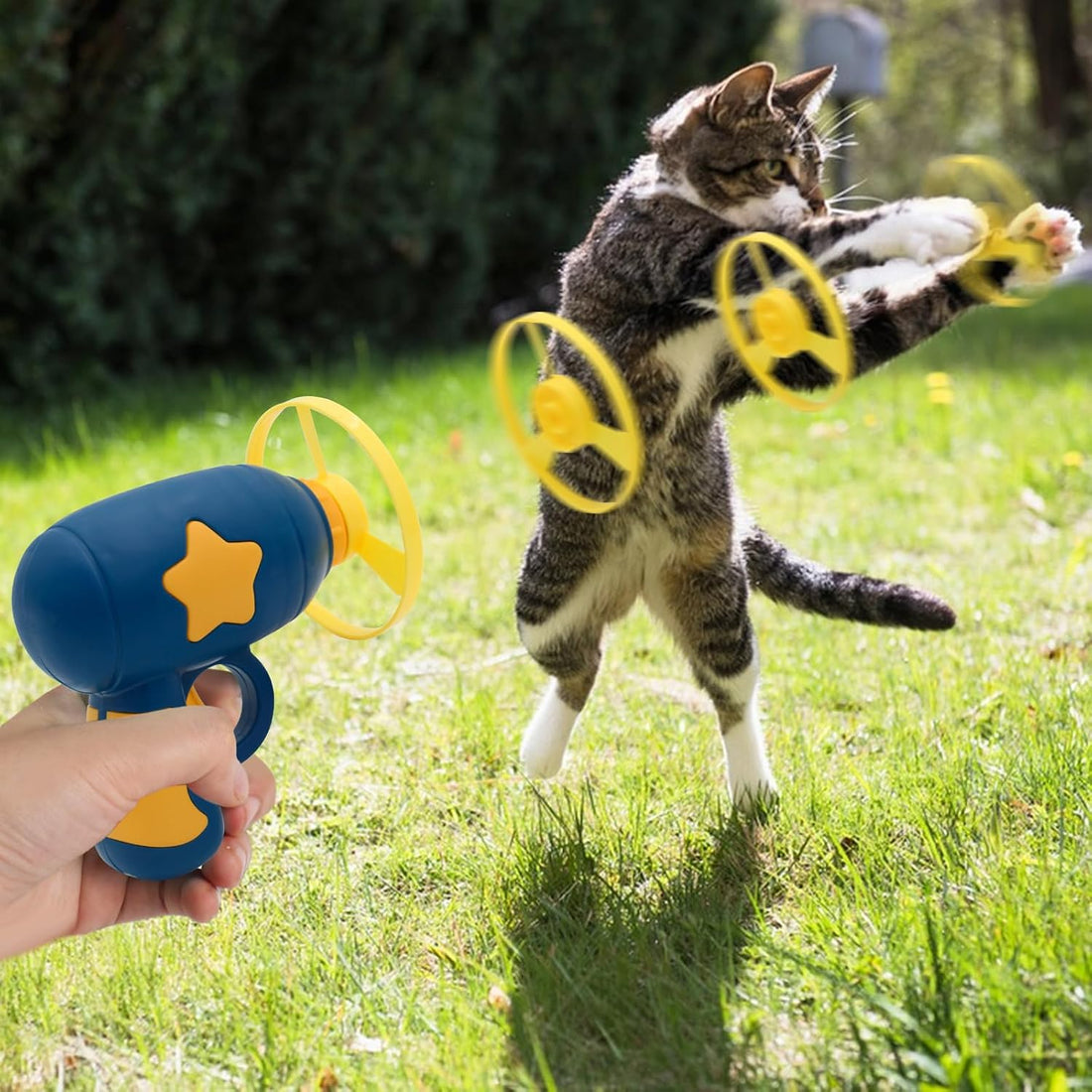 Andiker Cat Fetch Toy, Interactive Kitten Flying Disc Launcher Toy