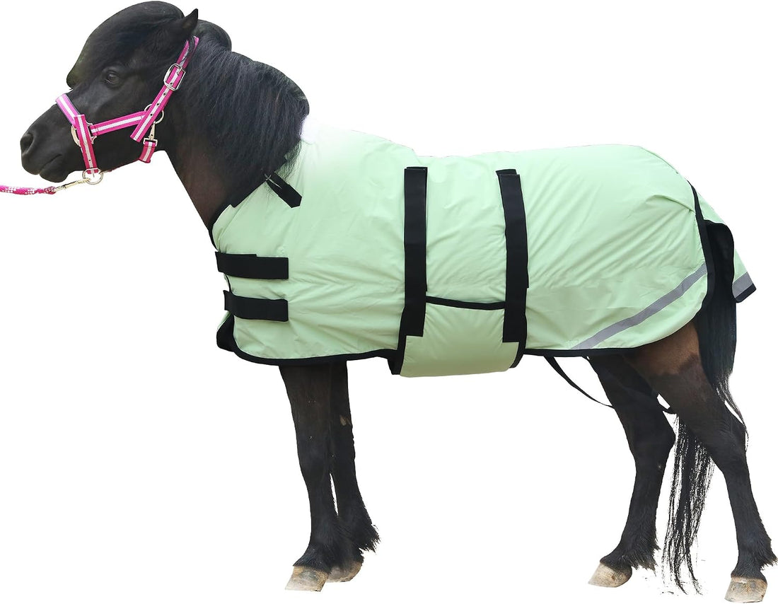 300D Foal/Mini/Pony Horse Blanket, 150g Waterproof Winter Turnout