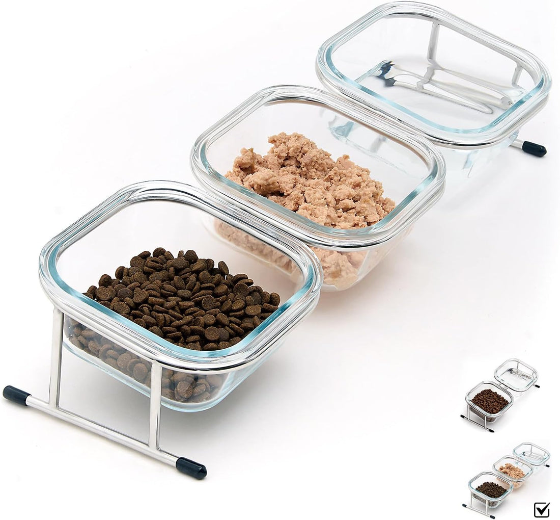 Elevated Cat Bowls, 15° Tilted Glass Raised Cat Food and Water Bowl