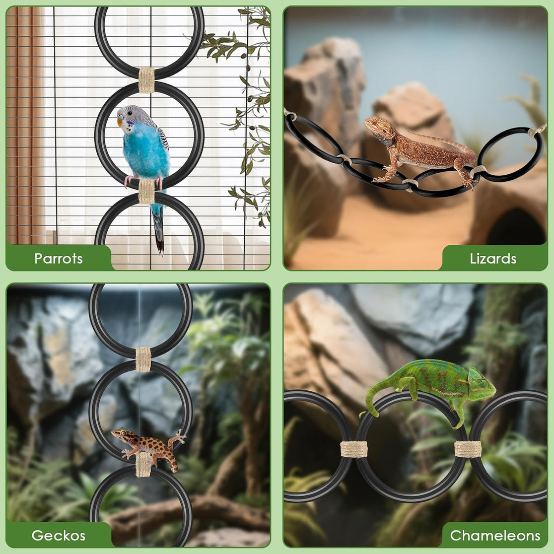 DBNESS Snake Climbing Rings, Ball Python Enclosure Enrichment Ring