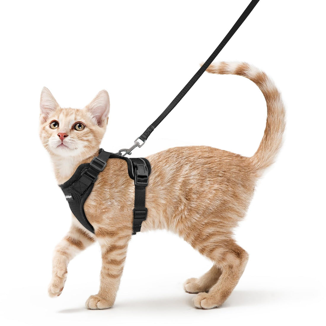 rabbitgoo Cat Harness and Leash Set, Escape Proof Vest