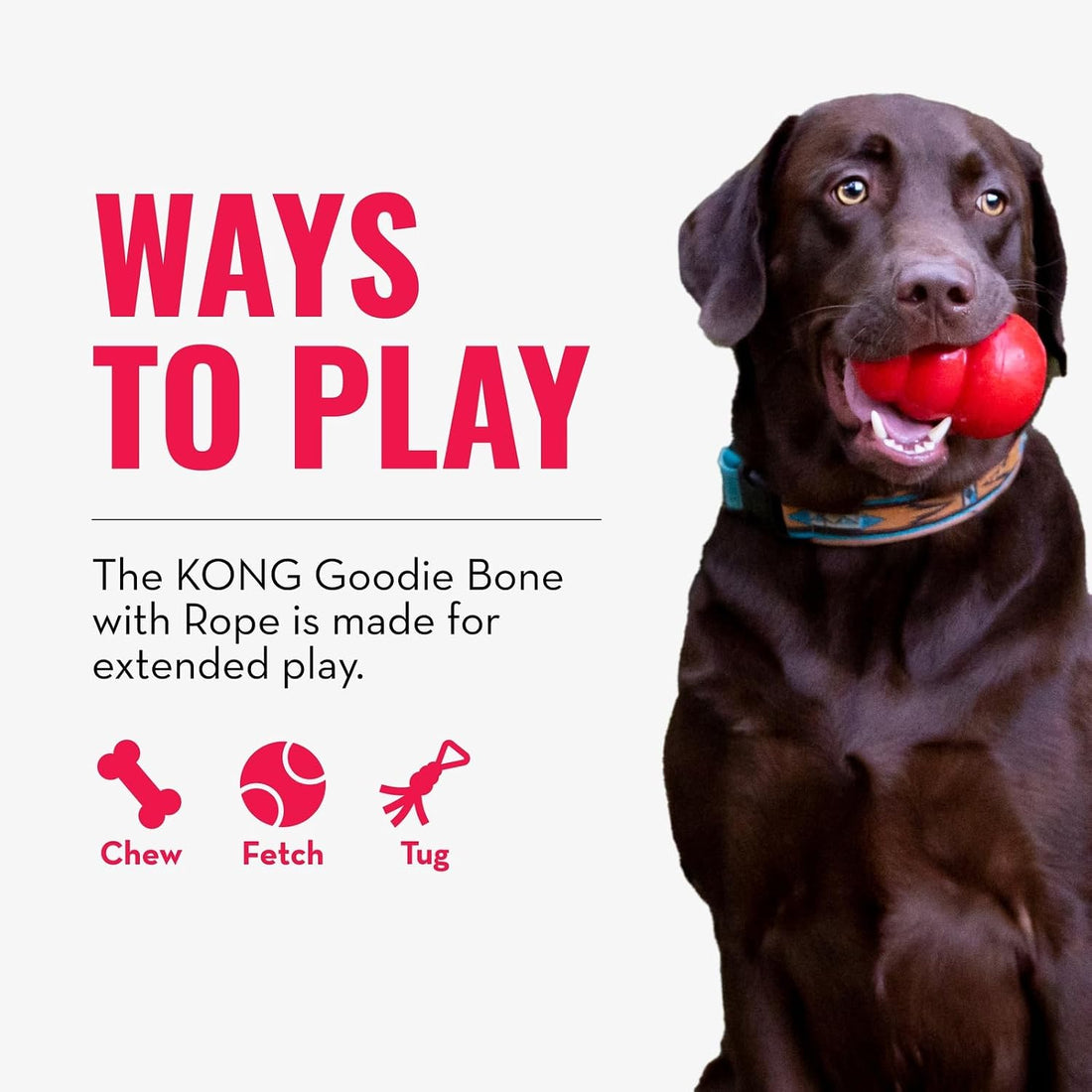 KONG Puppy Goodie Bone with Rope, Natural Rubber, for XS Puppies