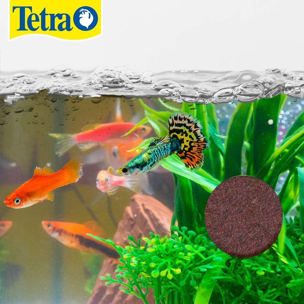 Tetra Vacation Food Slow-Release Feeder Block For Tropical Fish
