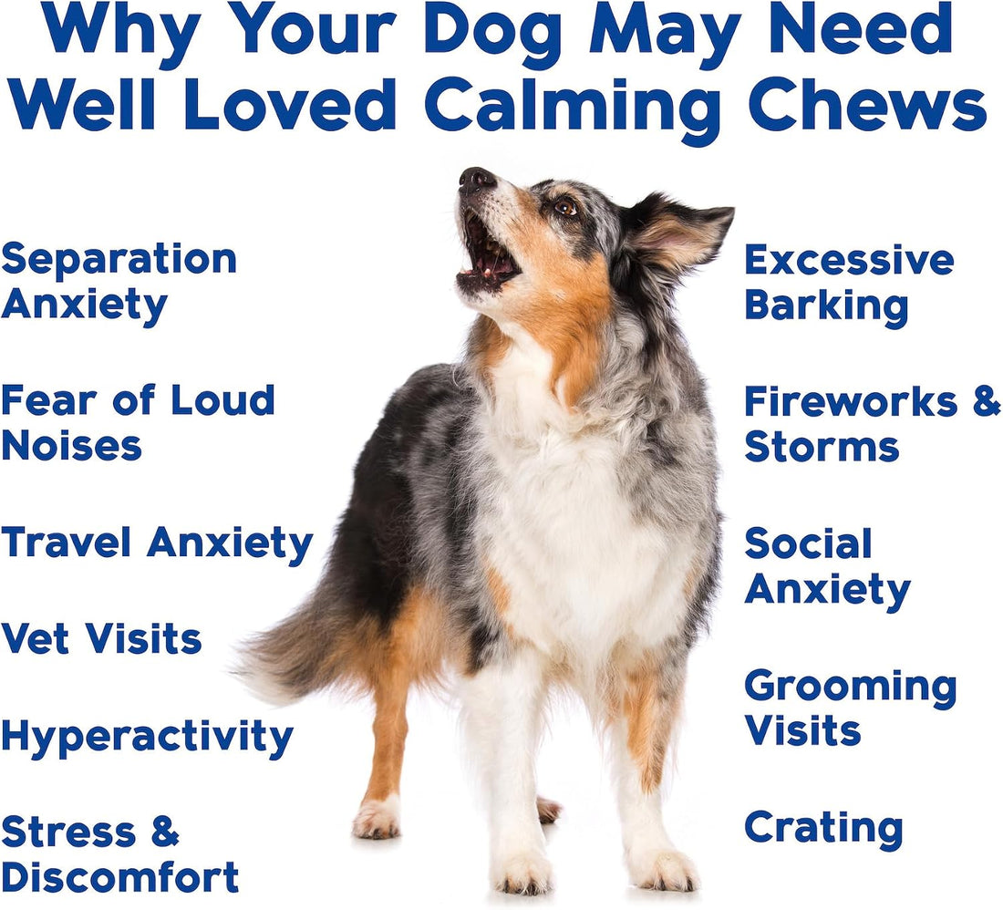 Well Loved Calming Chews for Dogs - Dog Calm Treats Extra Strength