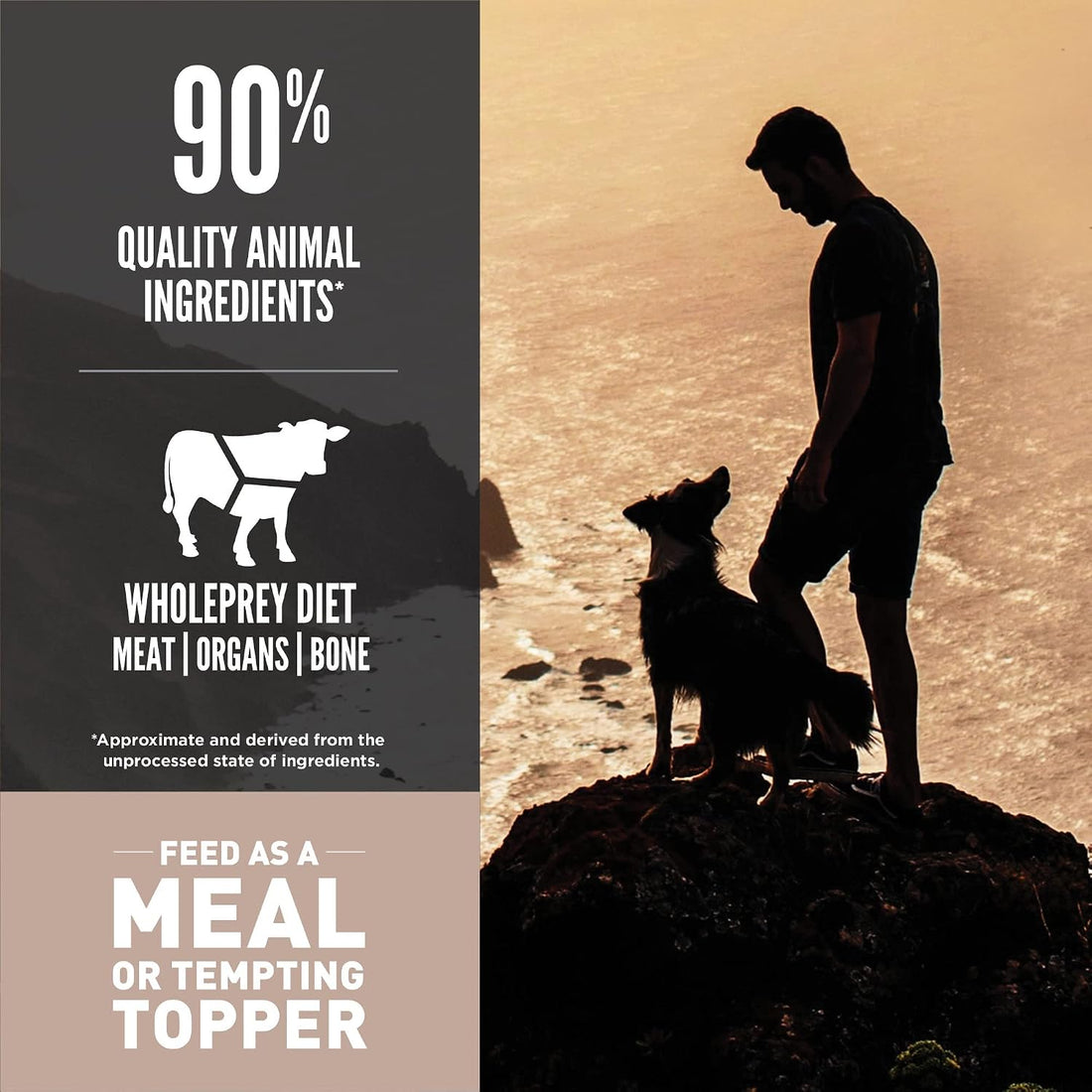 ORIJEN Grain Free High Protein Freeze Dried Dog Food & Topper