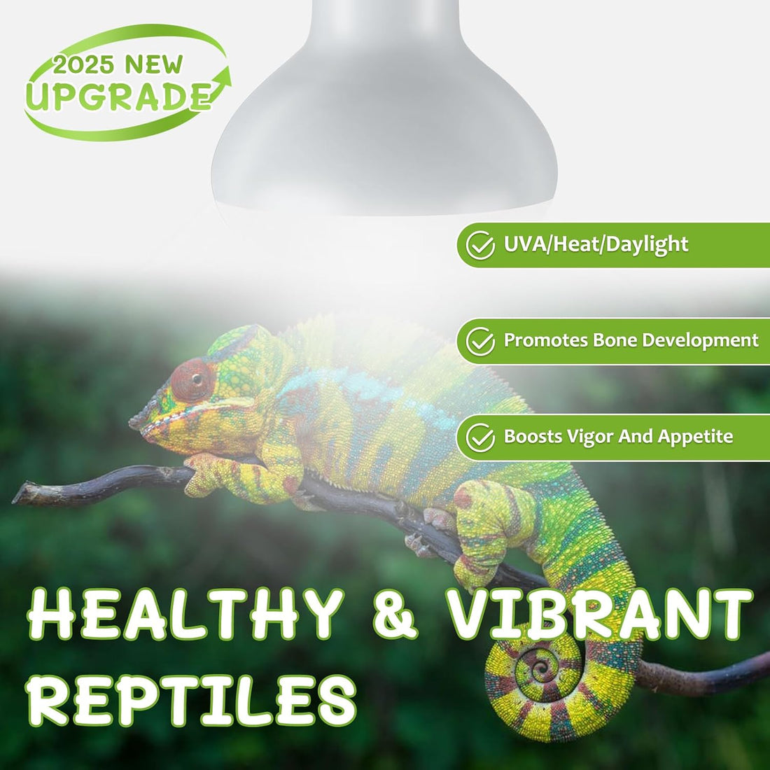 Reptile Heat Lamp Bulbs, Simulate Natural Sunlight Heat Light Bulb