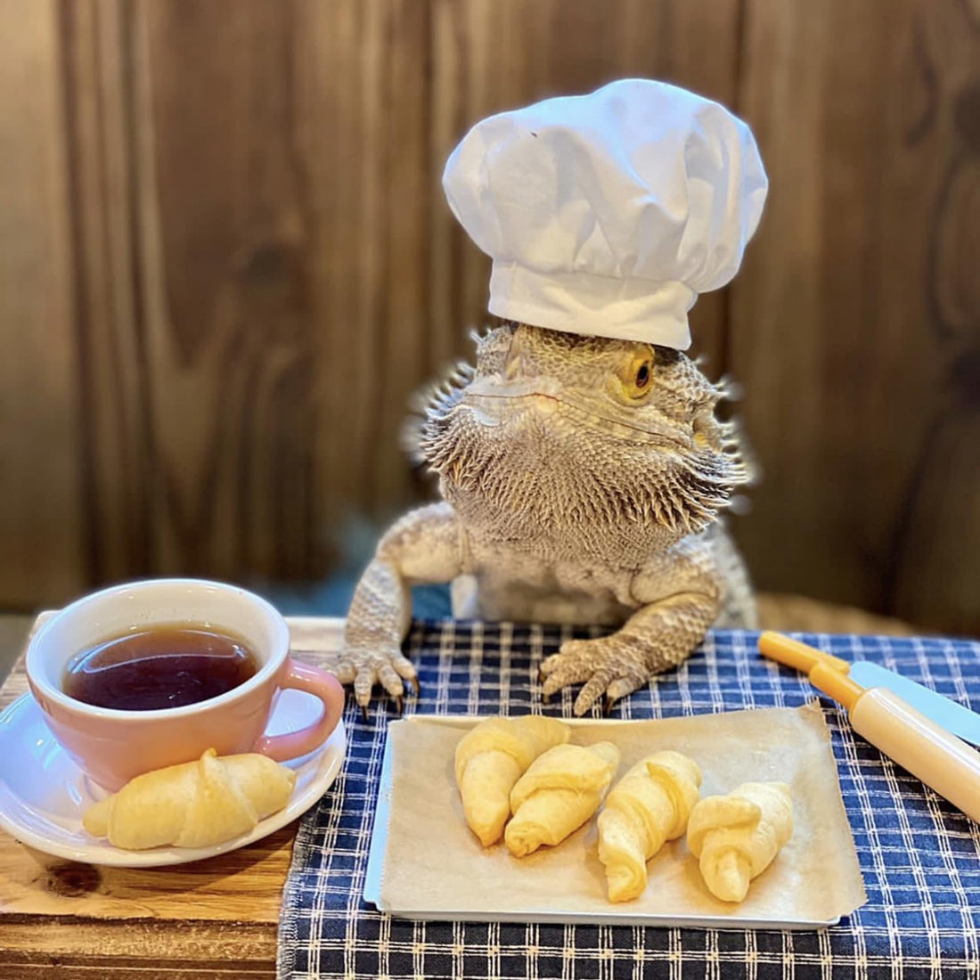 2 Pack Bearded Dragon Chef Hats Small Animal Cotton Cooking Chef Cap
