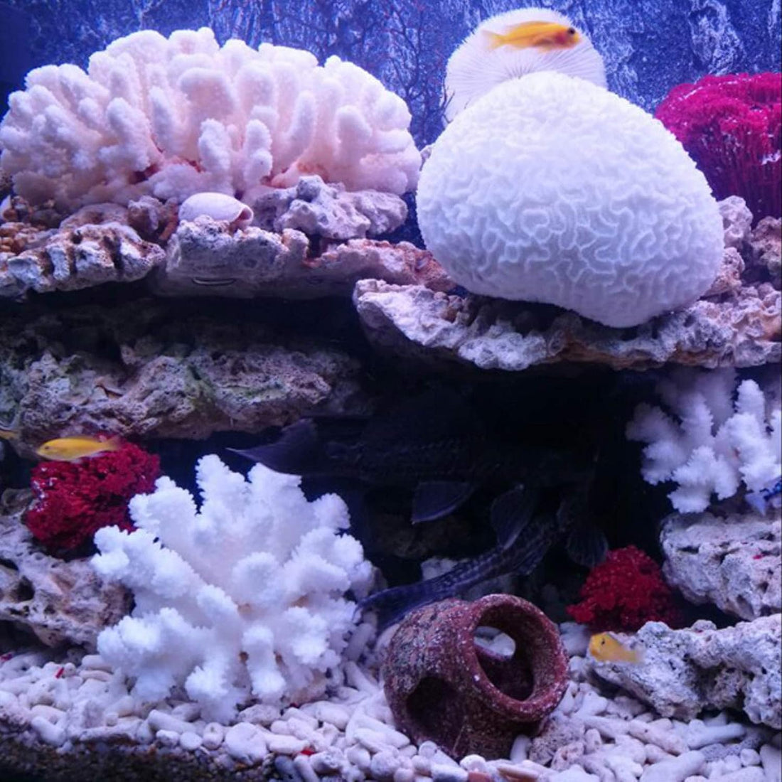 Besimple Pack of 2 Artificial Coral Ornament