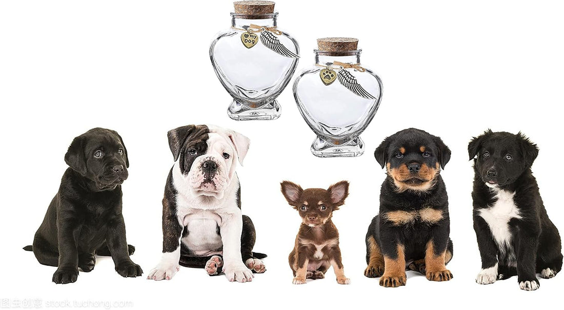 memorial bottle for pet hair，Pet fur memorial fur keepsake，dog cat