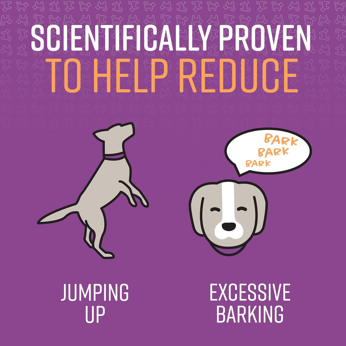 Sentry Pet Care Stop that! Behavior Correction Spray for Dogs
