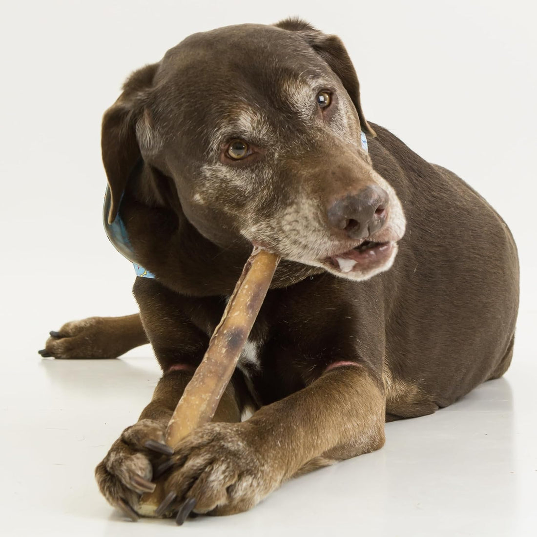 Best Bully Sticks Natural Jumbo Bully Sticks for Large Dogs - 12 Inch