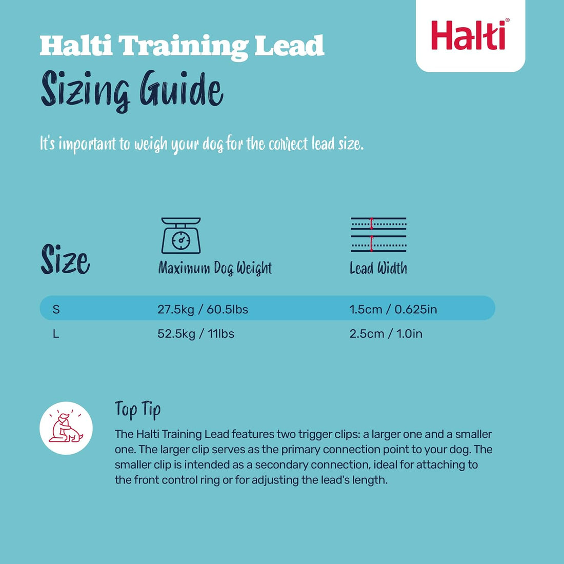 Halti No Pull Harness (Size M) & Training Leash (Size L, Black) Bundle