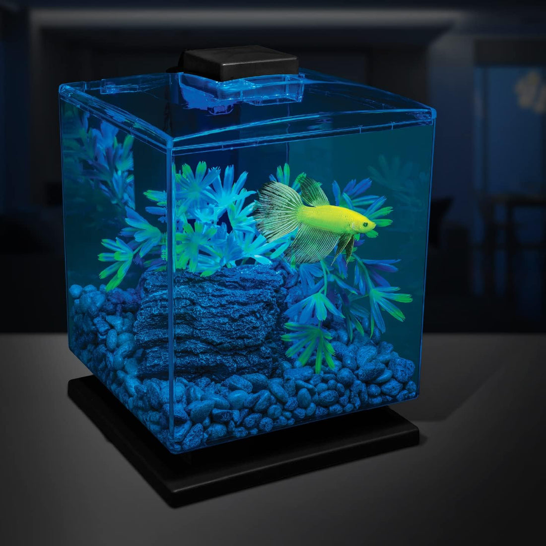GloFish Aquarium Gravel, Pearlescent, 5 lbs