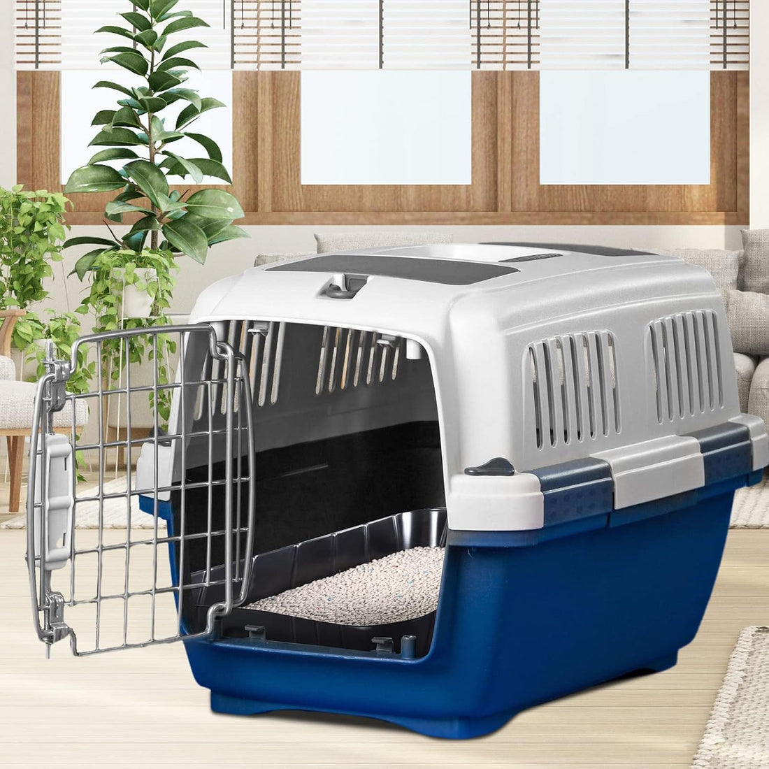 50 Pieces Disposable Litter Boxes for Cats Small Kitty Litter Box