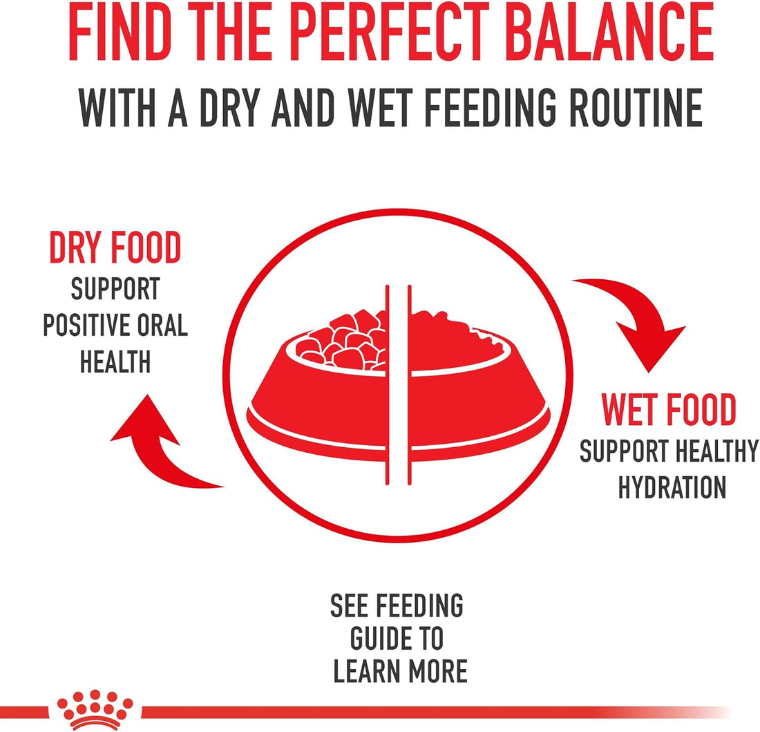 Royal Canin Veterinary Diet Canine Renal Support F Adult Dry Dog Food