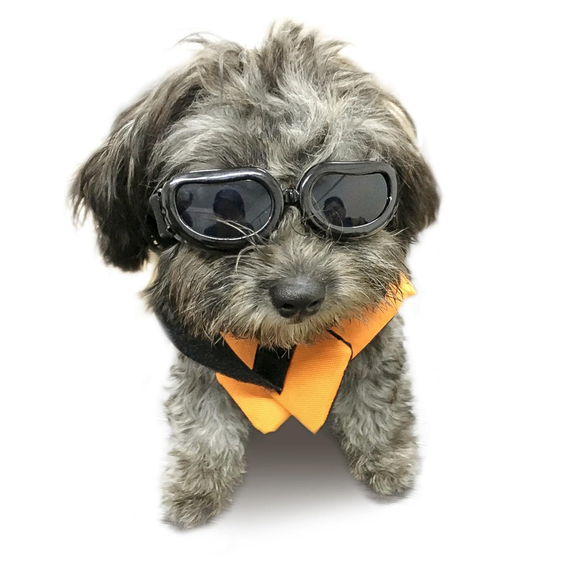 Enjoying Dog Goggles Small Breed, Dog Sunglasses UV Protection