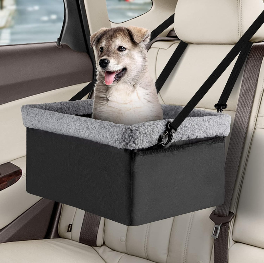Dog Car Seats for Small Dogs