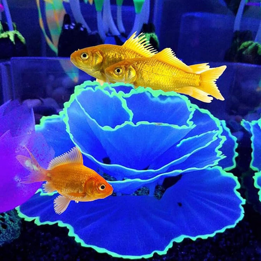 Besimple Aquarium Coral Ornament Glowing Effect Coral Decor Resin