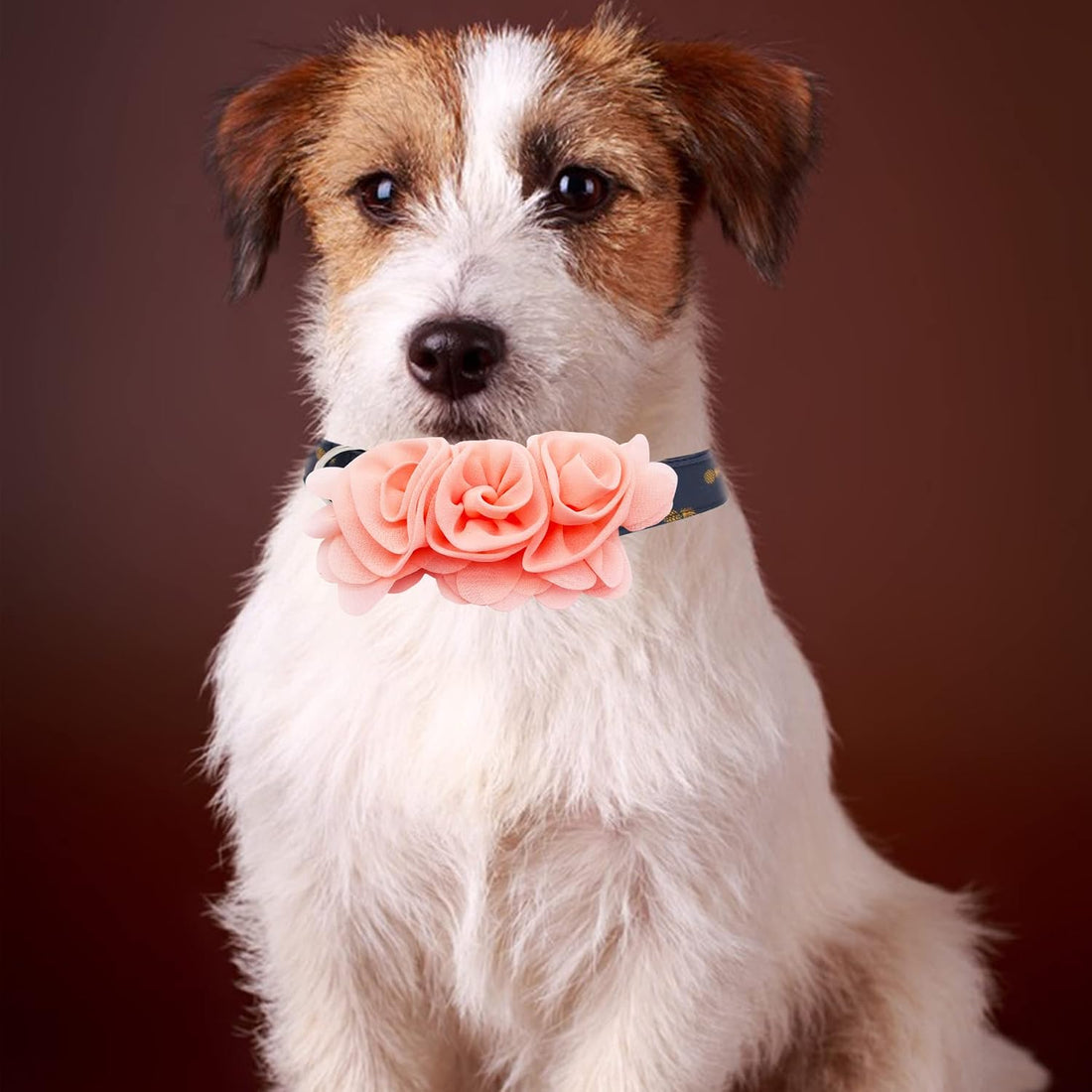 4PCS Dog Collar Flower Pink Attachment Bow Slider Charm for Large Dog