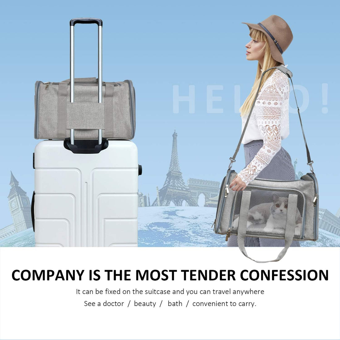 Henkelion Cat Carriers Dog Carrier Pet Carrier For Small / Medium