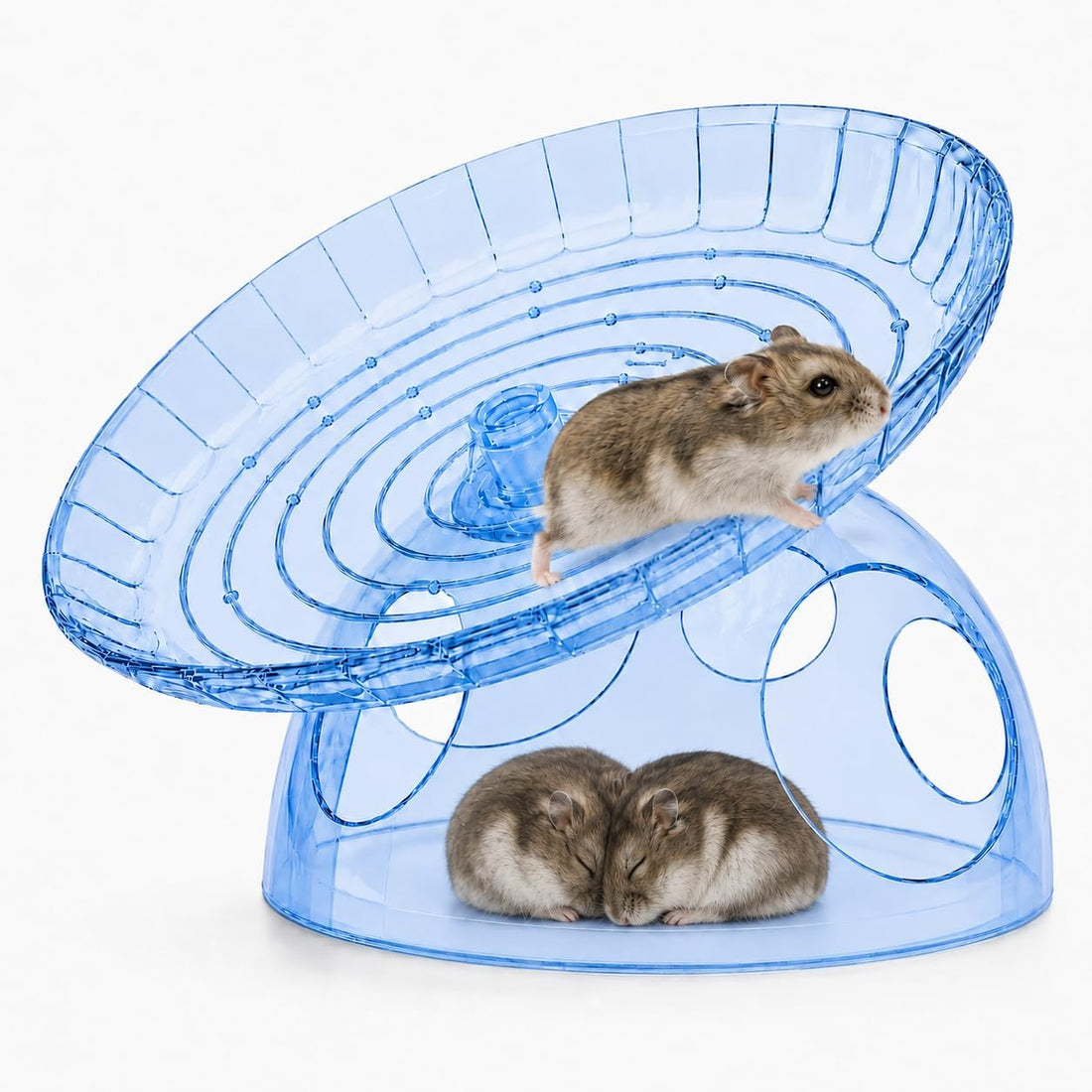 Silent Small Hamster Wheel with Hideout