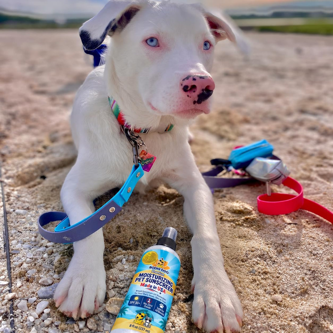 Bodhi Dog Sunscreen Moisturizing Pet Sun Spray - Safe for Dogs