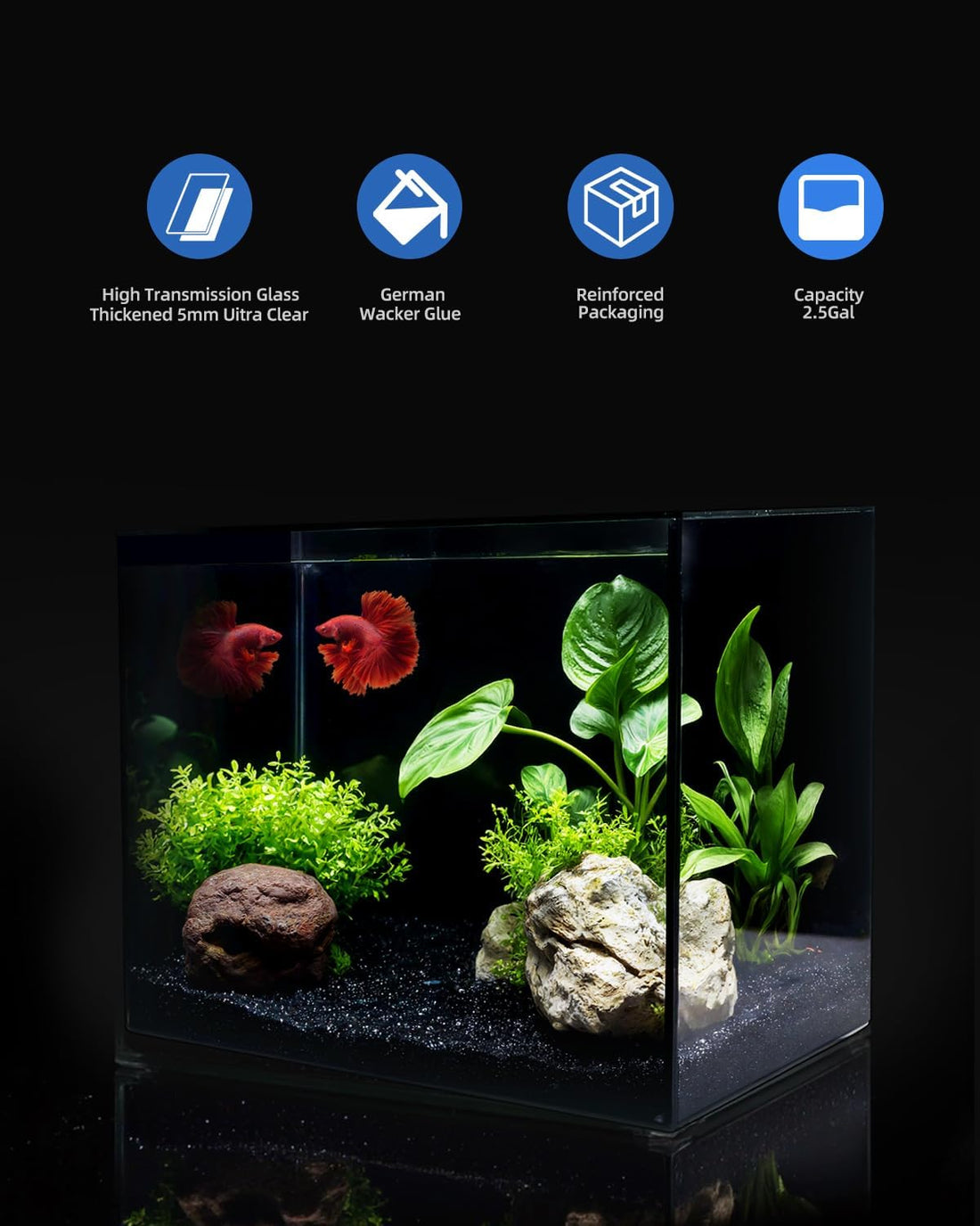 2.5 Gallon Nano Glass Fish Tank, Ultra-Clear Rimless Desktop Aquarium