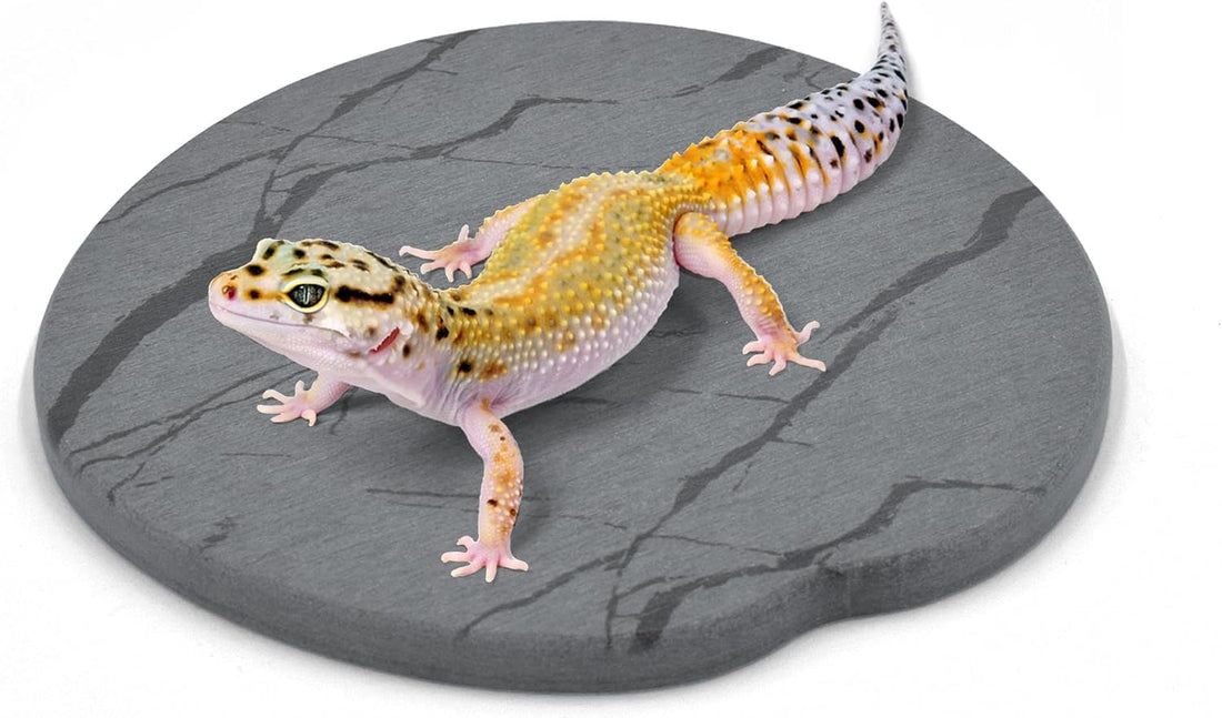 Reptile Basking Platform, 6''x6'' Basking Rocks for Bearded Dragons