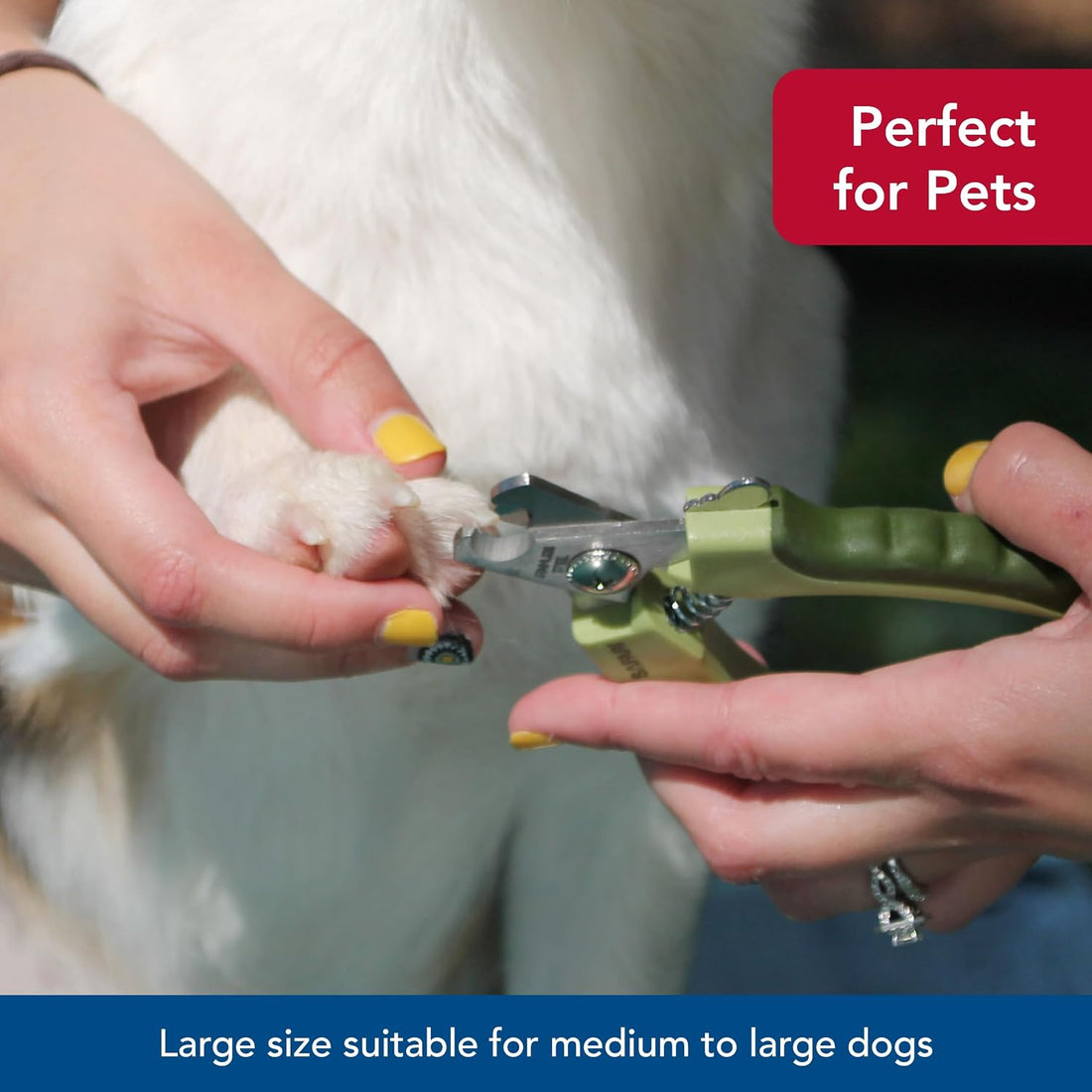 Coastal Pet Safari Professional Dog Nail Trimmer