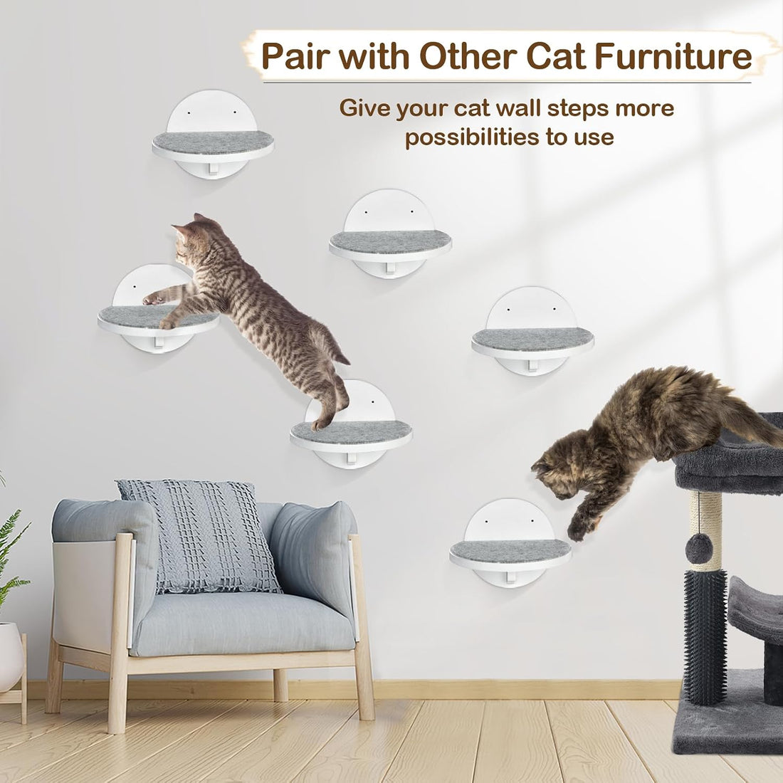 Cat Wall Shelves Furniture Set of 6