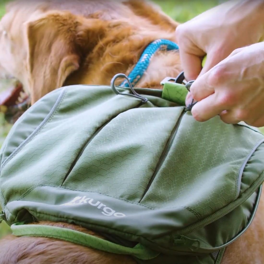 Kurgo Cascade Hiking Harness Backpack for Dogs