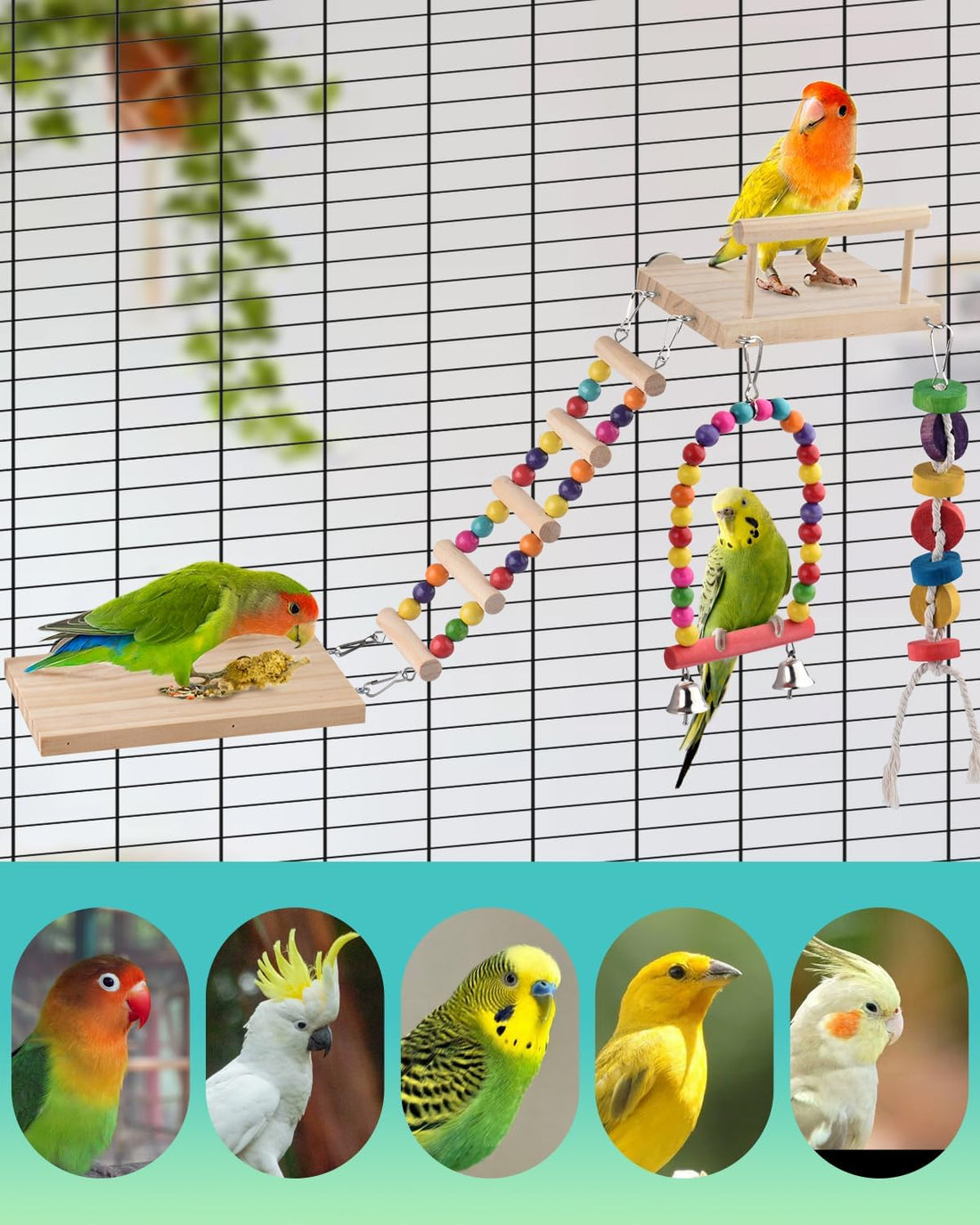DBNESS 5in1 Bird Parakeet Toys
