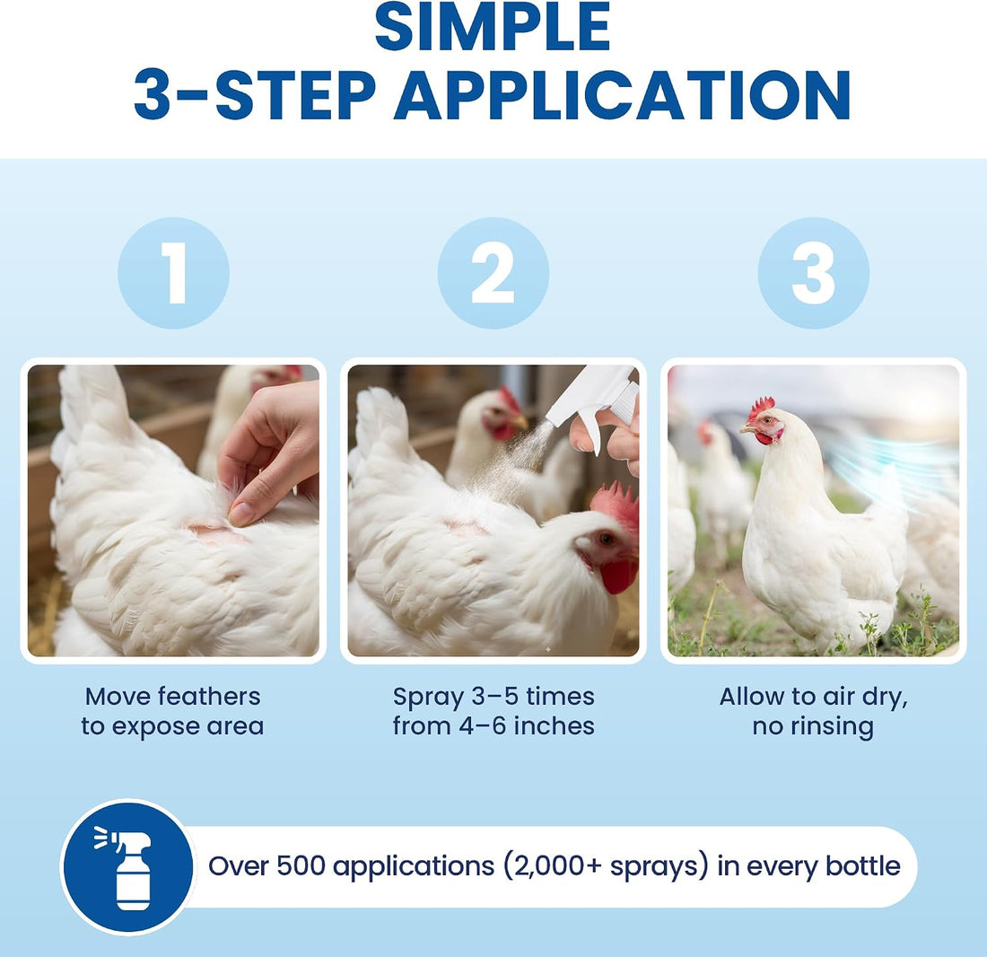 Lemant Poultry Care Spray | Skin Repair & Recovery Aid for Chicken