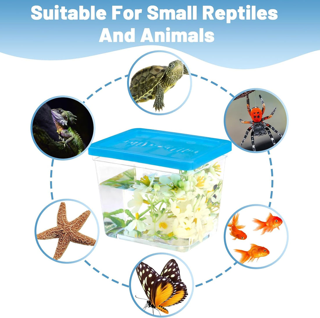 25 Pack Plastic Fish Bowl with Lids