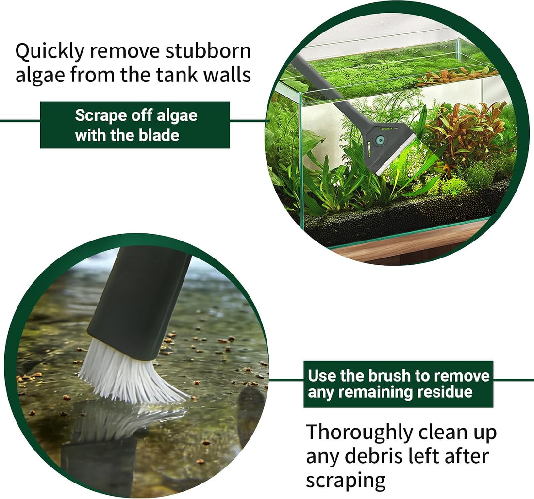 boxtech Aquarium Algae Scraper with Dual Head Design for Small Tanks