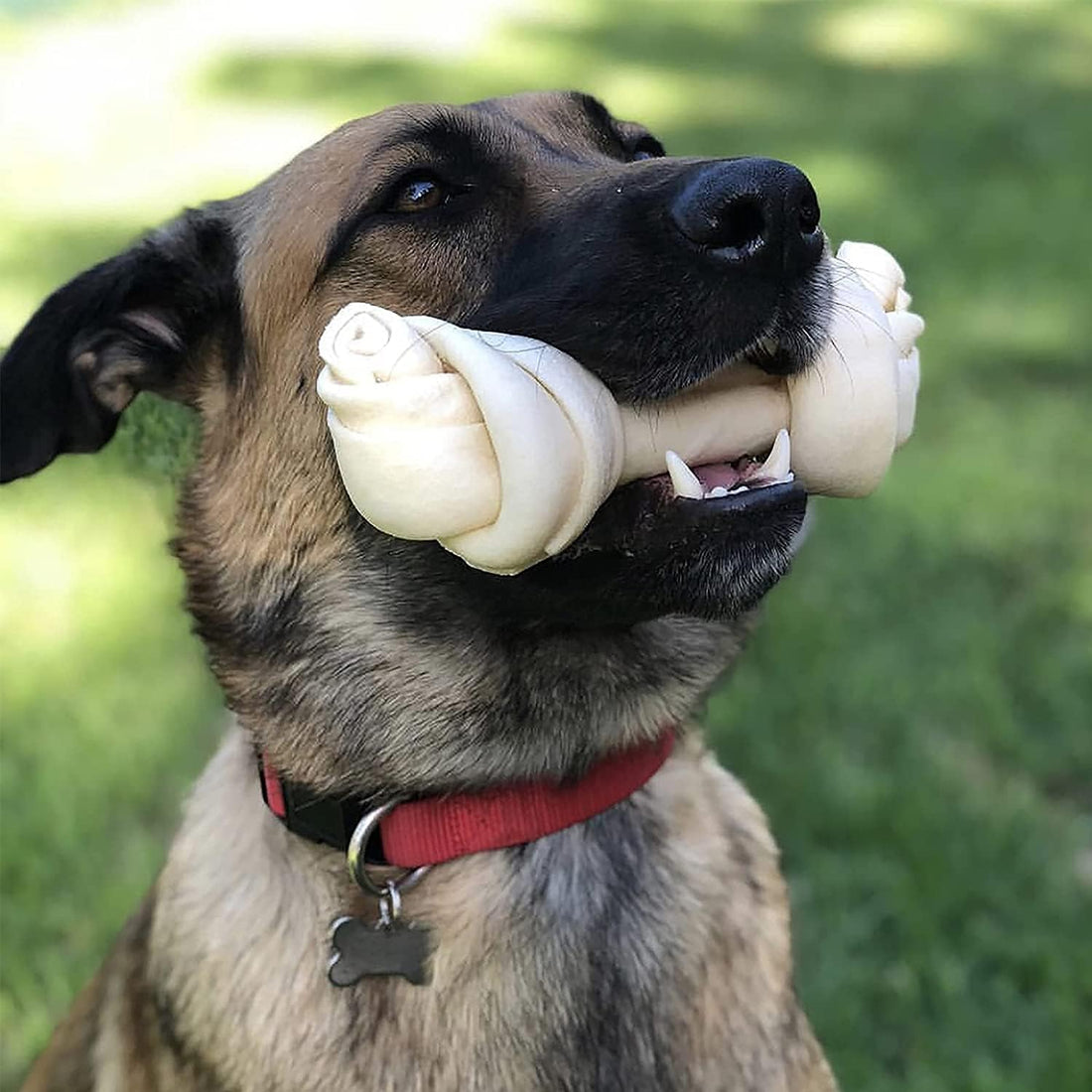 Pet Factory 100% Made in USA Beefhide 6" Knotted Bones Dog Chew Treats