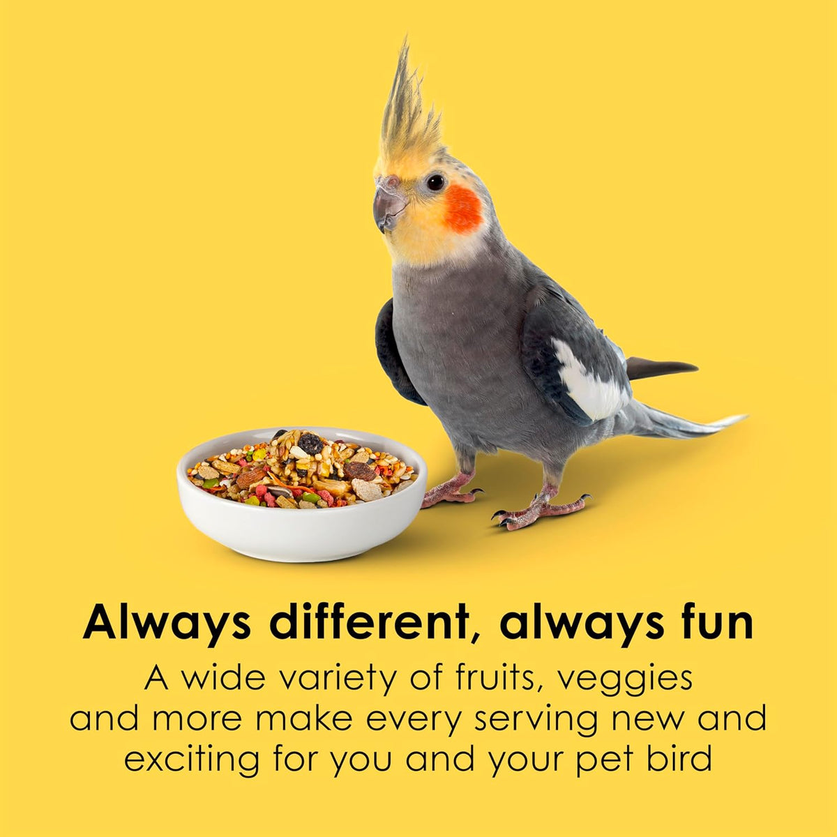 Kaytee Fiesta Cockatiel Food, Nutritious and Fun Blend, Supports Skin