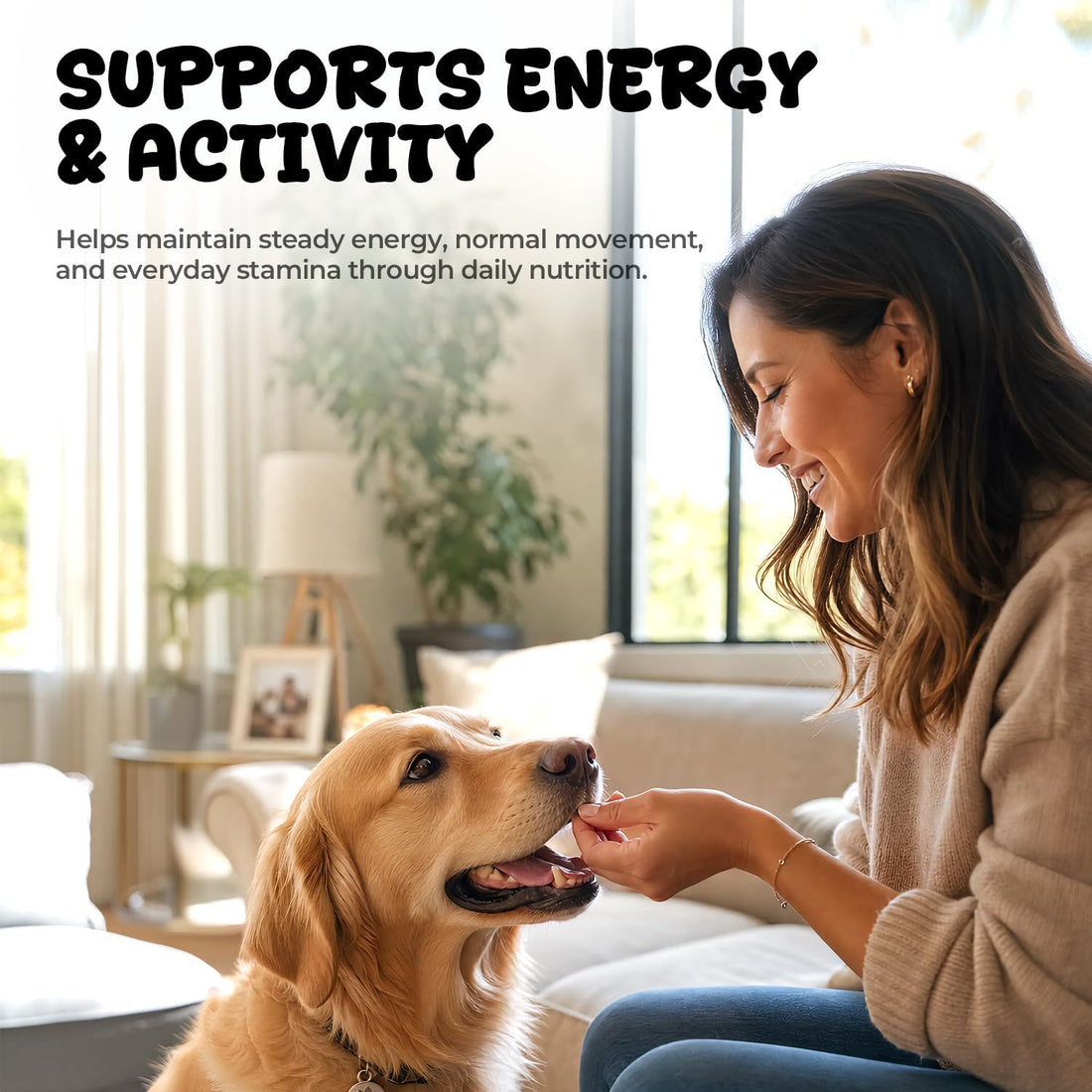 Taurine for Dogs, Heart Function & Energy Support, L-Carnitine Tablets