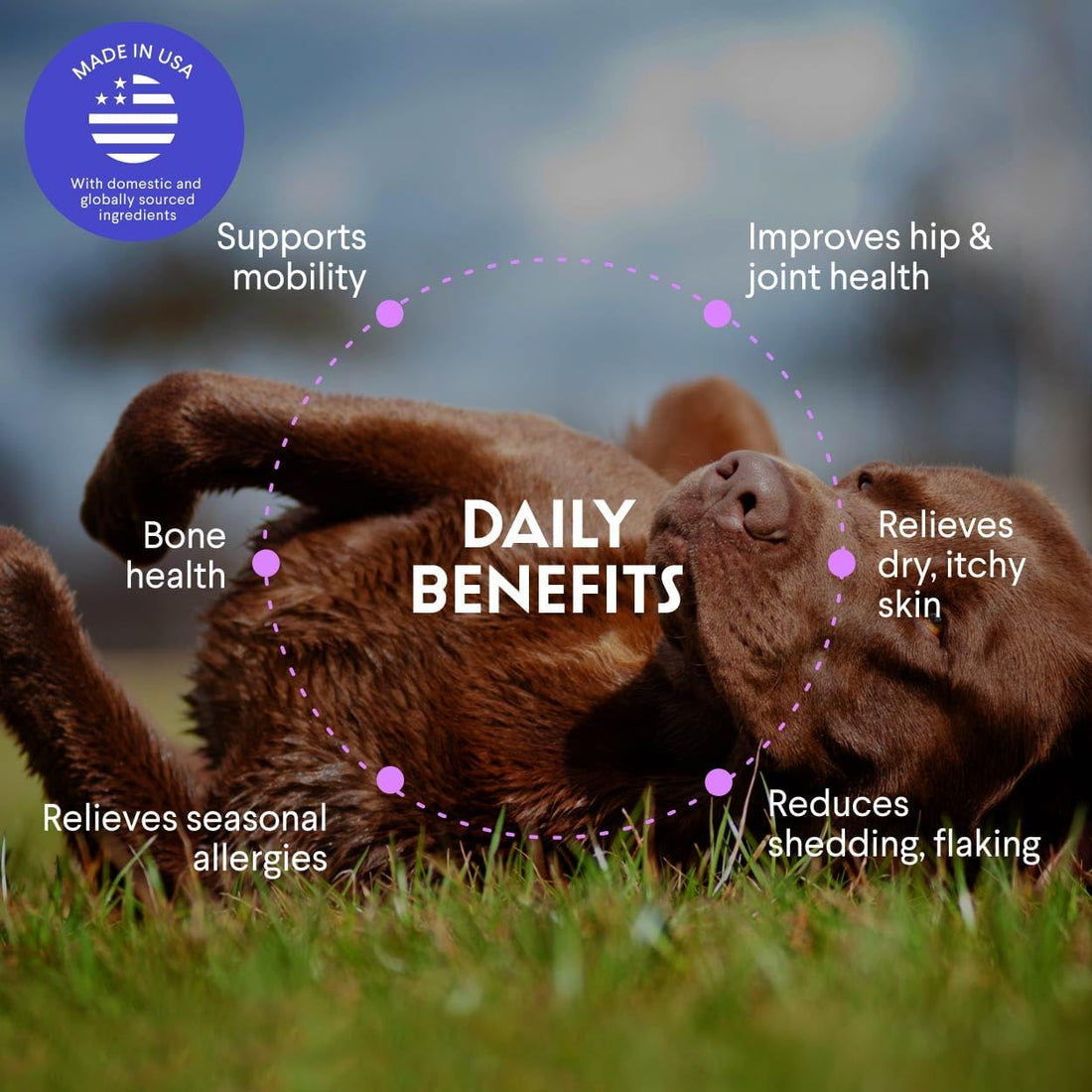 Premium Salmon Oil for Dogs – Pure Norwegian Salmon Oil High in Omega