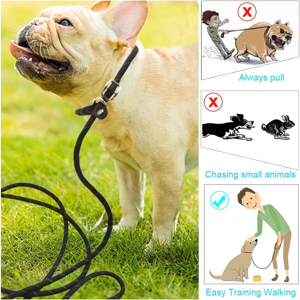 BTINESFUL 10/15/20FT Long Slip Lead Dog Training Leash