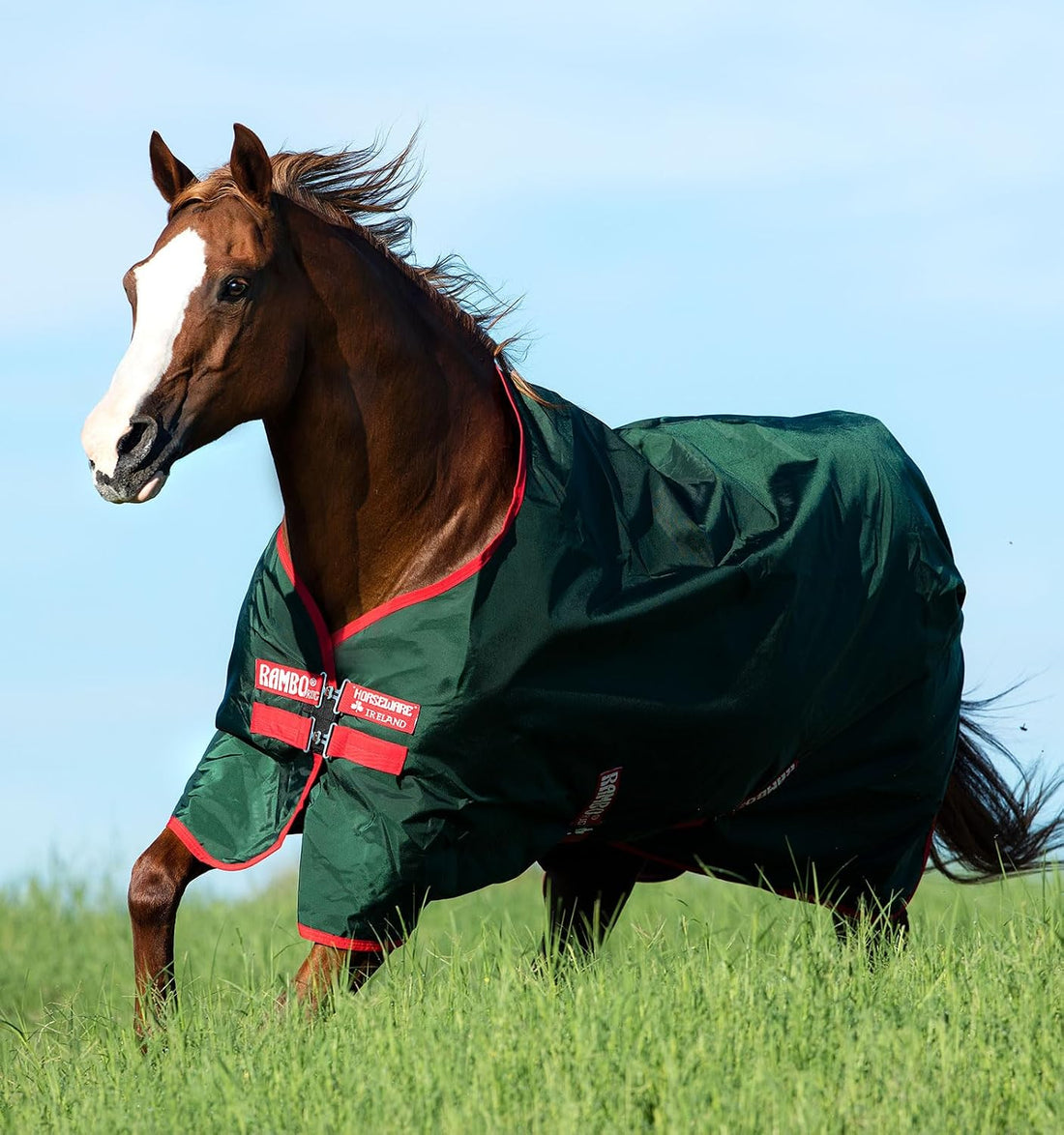 Horseware Ireland Mio Stable Sheet 75