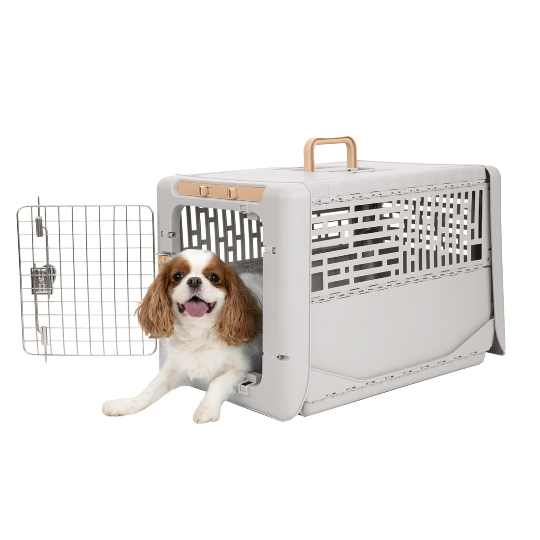 SportPet Designs Collapsible Small Pet Travel Carrier