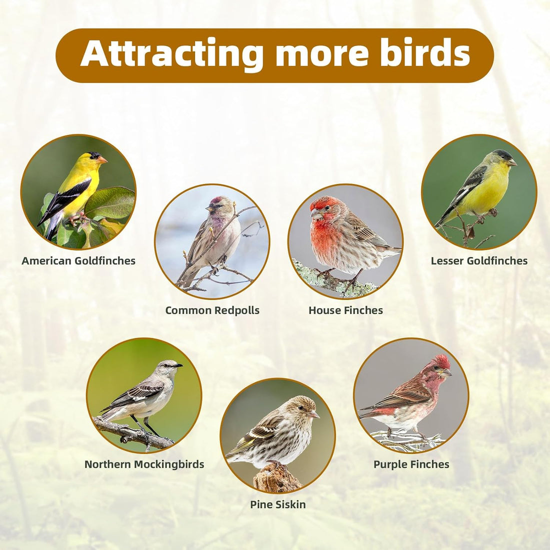 Nyjer/Thistle Seeds Wild Bird Feeder 2 Pack,All-Metal Material