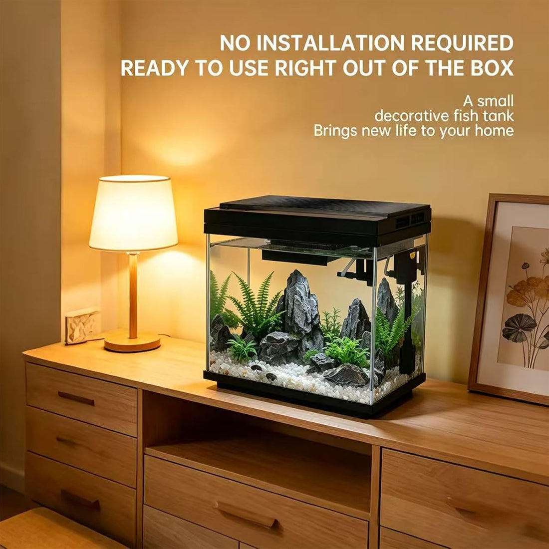 3 Gallon Fish Tank with Filter and Light