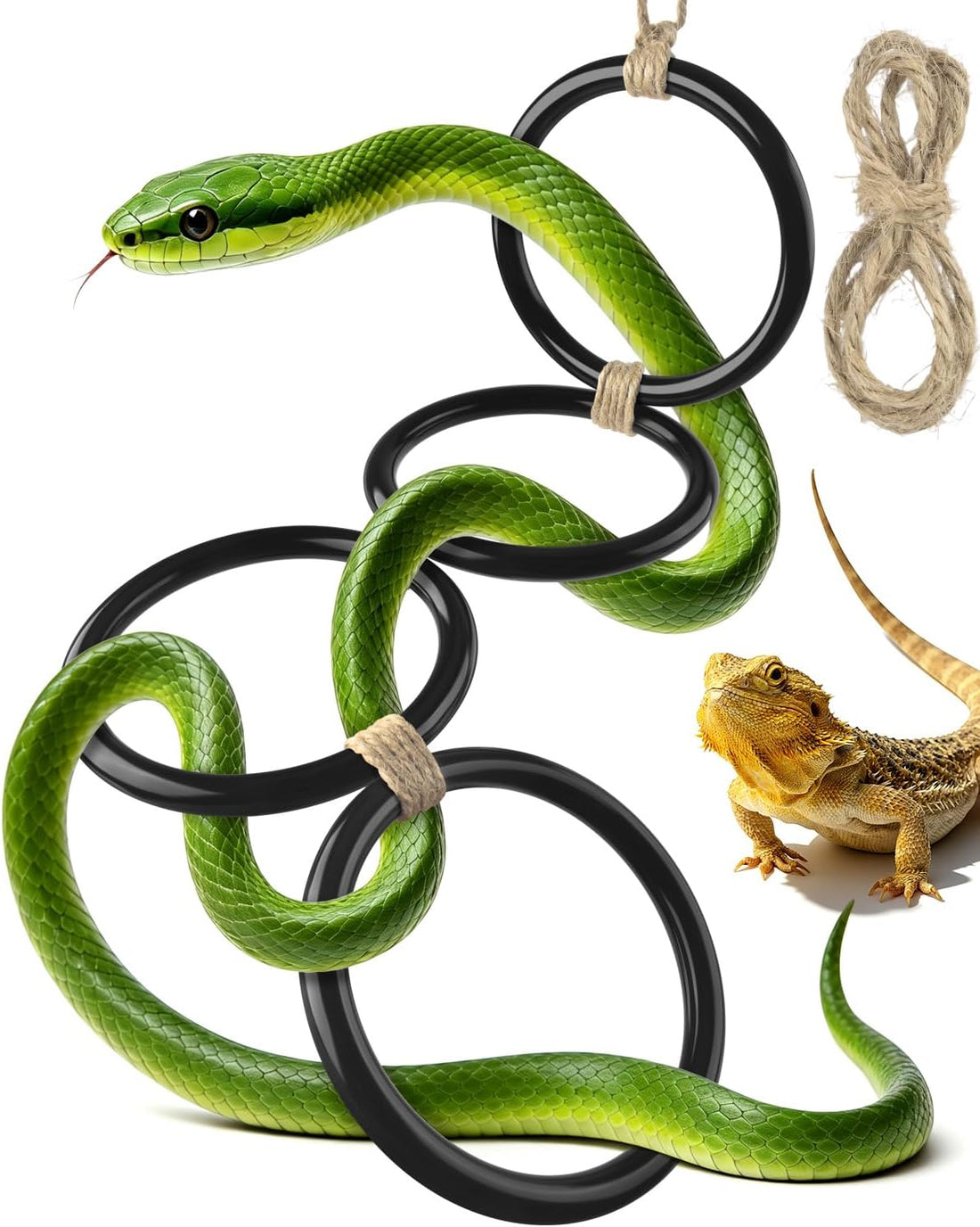 DBNESS Snake Climbing Rings, Ball Python Enclosure Enrichment Ring