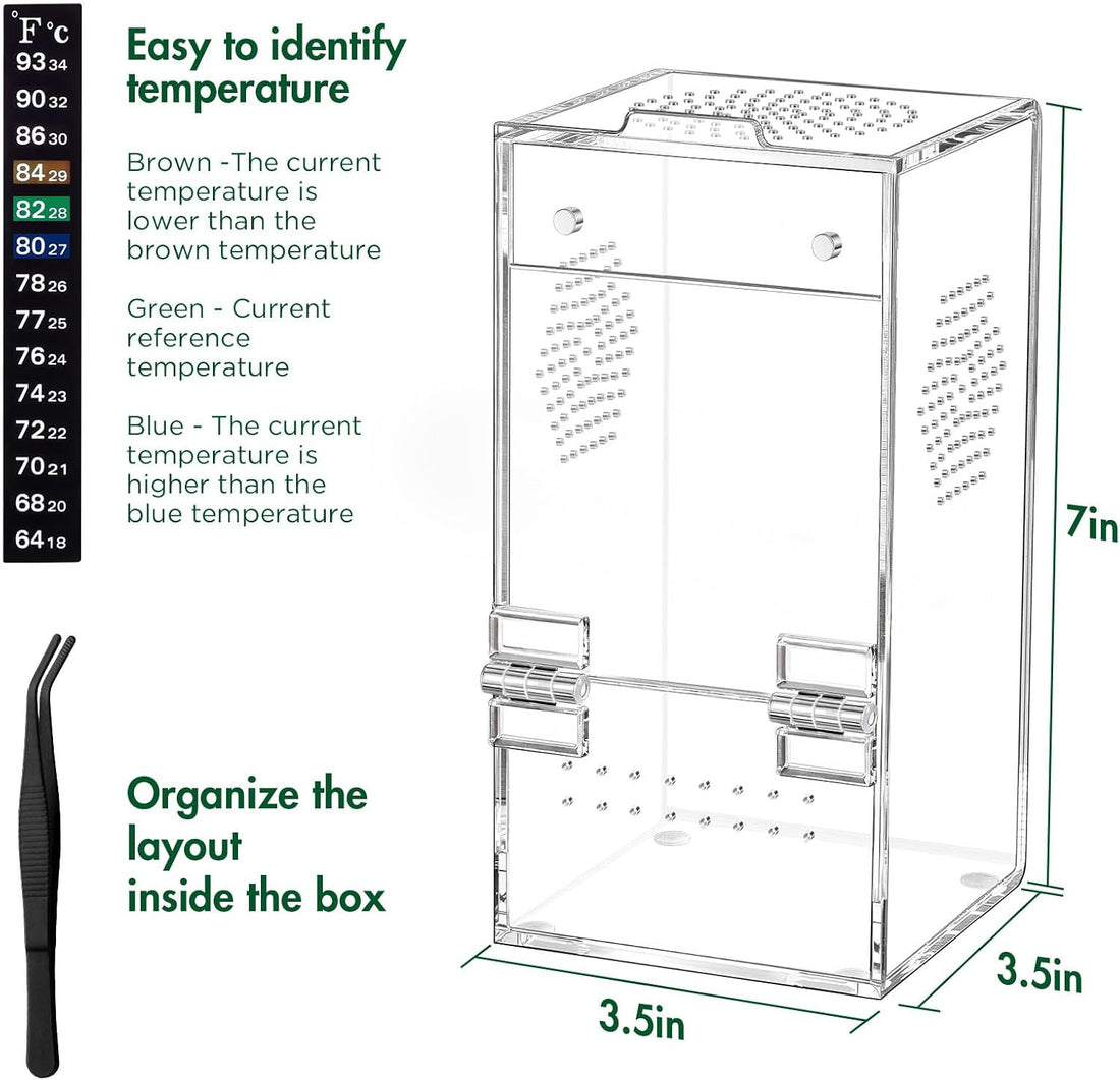 Pre-Assembled Jumping Spider Enclosure, All-Side Ventilation