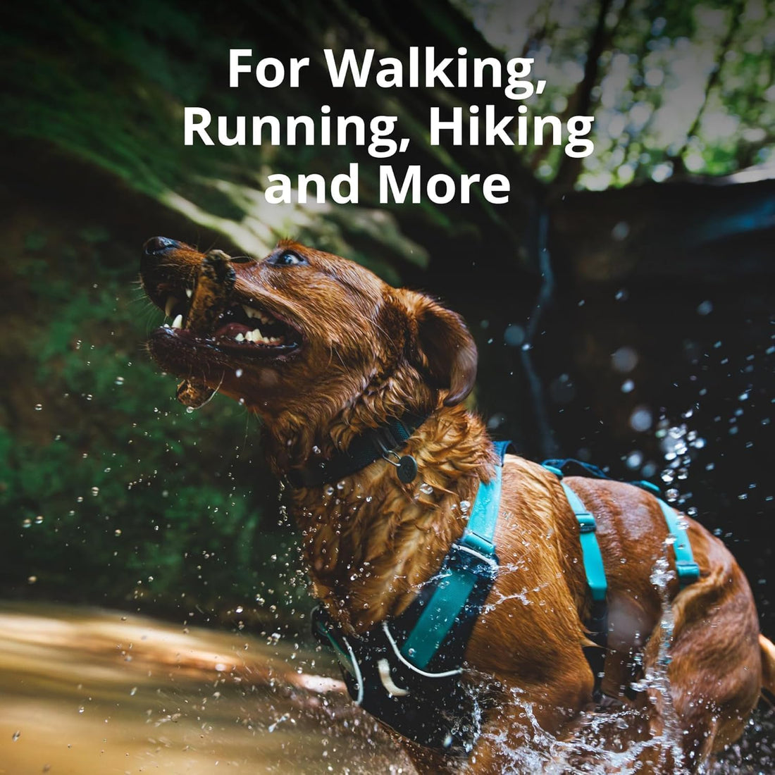 Ruffwear, Flagline Dog Harness, Lightweight and Reflective