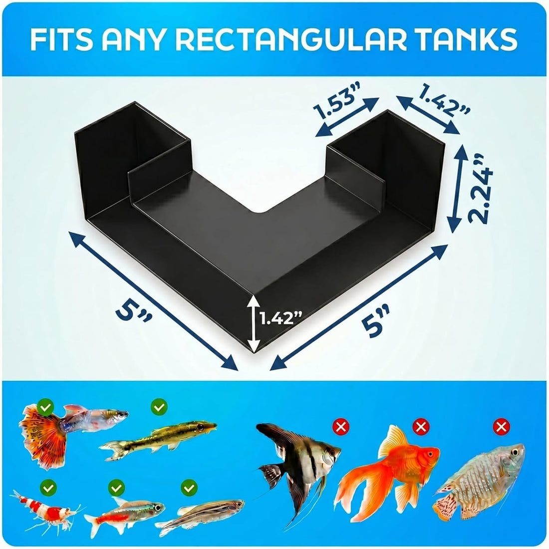Aquarium Underground Tunnel 5"