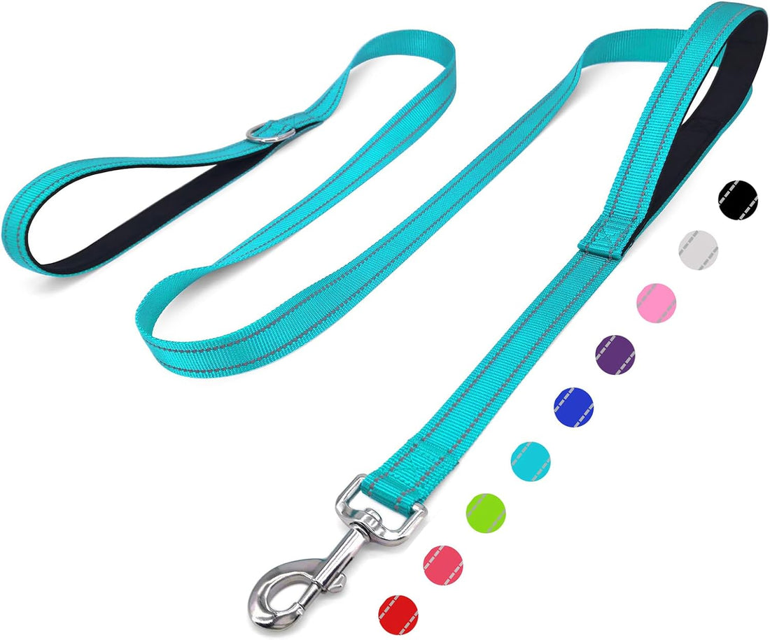 6 FT Black Nylon Reflective Dog Leash for Large Dogs with 2 Padded